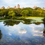 5 Tips for Taking Better Photos and Videos With Your Smartphone
