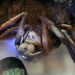 Top 5 Essential Theme Park Attractions to Visit This Summer